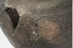 Foto von Keramiktopf (NHMW-PRAE-078102)